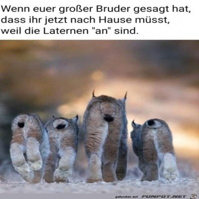 Heim-geht-es.jpg von Randy