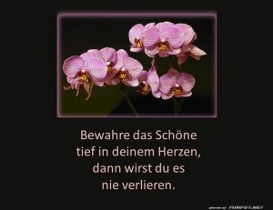 Bewahre-das-Sch�ne-1.jpg auf www.funpot.net