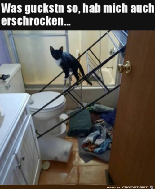 Guck-nicht-so.jpg auf www.funpot.net