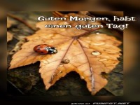Habt einen guten Tag