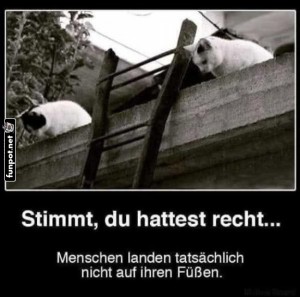 Katzenwitz-ber-Menschen-und-Fallen.jpg auf www.funpot.net