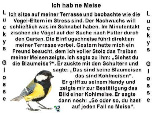 Ich-hab-ne-Meise.jpg auf www.funpot.net