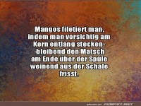 Der wahre Mango-Kampf