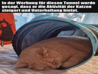 Katzen-Tunnel: Das neue Nickerchen-Paradies!