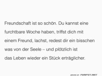 Freunde: Balsam fr die Seele und Lachmuskeln
