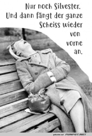 Silvester:-Der-ewige-Kreislauf-des-Feierns!.jpg auf www.funpot.net