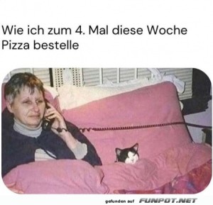 Pizza-Gest�ndnisse-von-der-Couch.jpg auf www.funpot.net