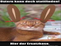 Plan B: Der alternative Osterhase