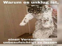 Kartons nie unbeaufsichtigt lassen