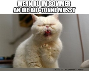 fun-Bild: Katzen reagieren auf Bio-Tonnen-Geruch!