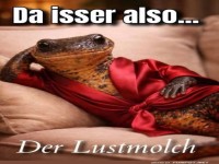 Der Molch im Bademantel-Dilemma