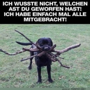 Hund-bringt-viele-St�cke.jpg von Josie-96