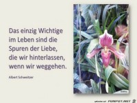 das einzig Wichtige im Leben