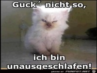 guck-nicht-so