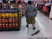 A-part-of-me-hopes-thats-a-fake-crocodile -Most-of-me-hopes-