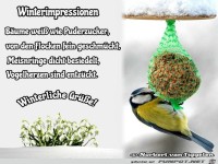 winterimpressionen 2021