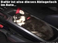 Gem�tlich im Auto