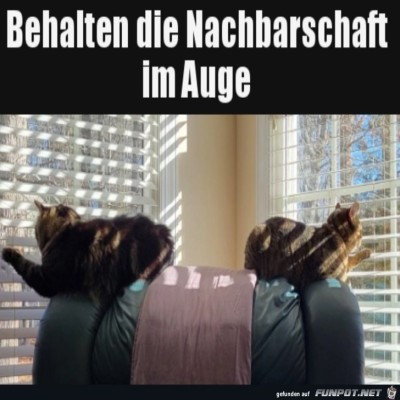 Nachbarschafts-Wache.jpg von Tilo