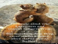 Freunde sind wie Laternen auf einen langen Weg