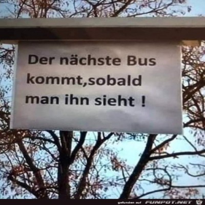 Tolle-Info.jpg von Pina