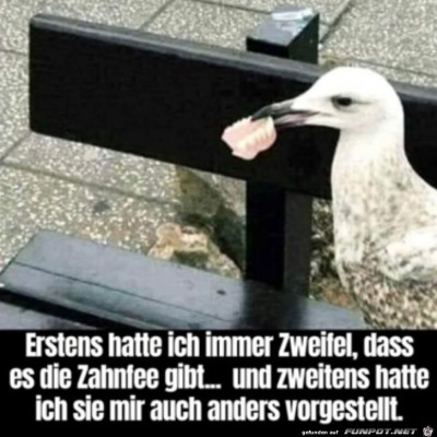 Komische-Zahnfee.jpg von Ole