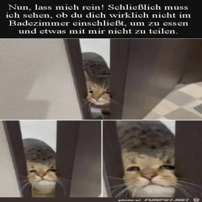Lass-mich-rein.jpg von Enya