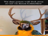 Etwas viel Kr�uterlik�r