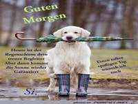 Heute ist dein Regenschirm dein treuer Begleiter