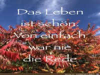 Das Leben ist sch�n