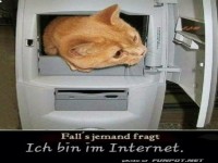 Bin im Internet