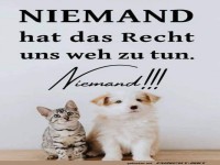 Schutz fr Tiere: Keine Gewalt