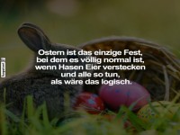 Lustiger Osterhasen-Spruch mit Eiern