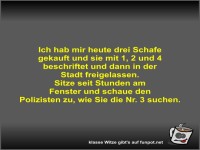 Ich hab mir heute drei Schafe gekauft und sie mit 1