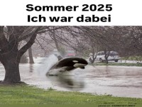 Sommerurlaub mal anders: Park-Safari 2025!