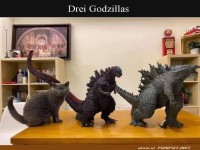 Das geheime Katzenmonster-Trio