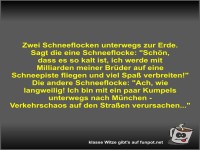 Zwei Schneeflocken unterwegs zur Erde