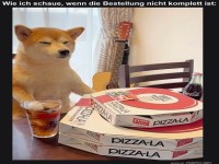 Hundeblick: Wo bleibt die Extra-Pizza?