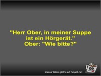 Herr Ober, in meiner Suppe ist ein Hrgert