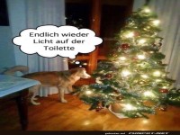 Festliche Erleuchtung f�rs Hundegesch�ft