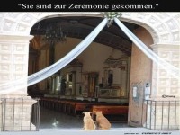 Zwei Hunde bei der Zeremonie: Pl�schige G�ste