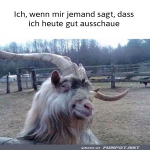 fun-Bild: Ich sehe heute gut aus