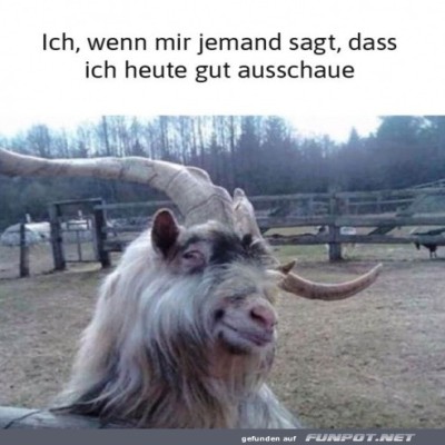 Ich-sehe-heute-gut-aus.jpg von Phil-1986