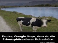 Moo-spionage vereitelt!