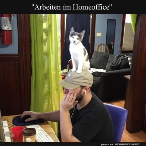 Chefkatze-überwacht-das-Homeoffice.jpg von Annelie-68