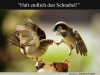 weiter