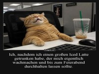Kater-Koffein-Kollaps im B�ro