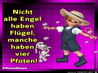 Nicht alle Engel