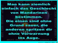 Die Geschlechtsbestimmung