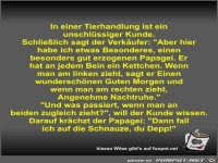 In einer Tierhandlung ist ein unschlüssiger Kunde