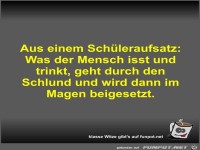 Aus einem Sch�leraufsatz